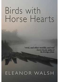 Birds with Horse Hearts : Eleanor Walsh